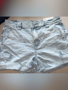 American Eagle Outfitters Light Blue Denim Jean Shorts